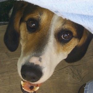 Meet your Posher, Marian